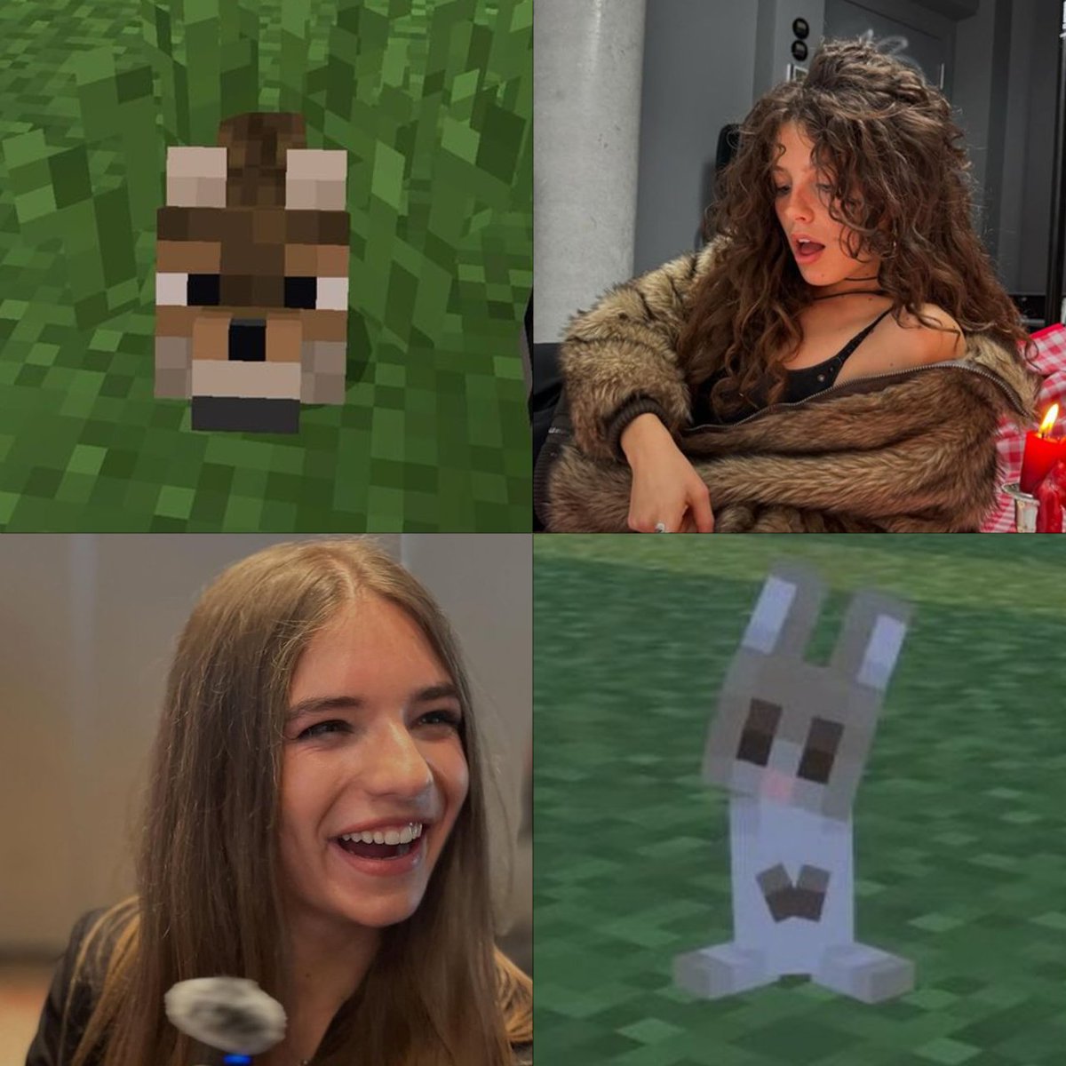 Ича Млекк 🦢 tweet media