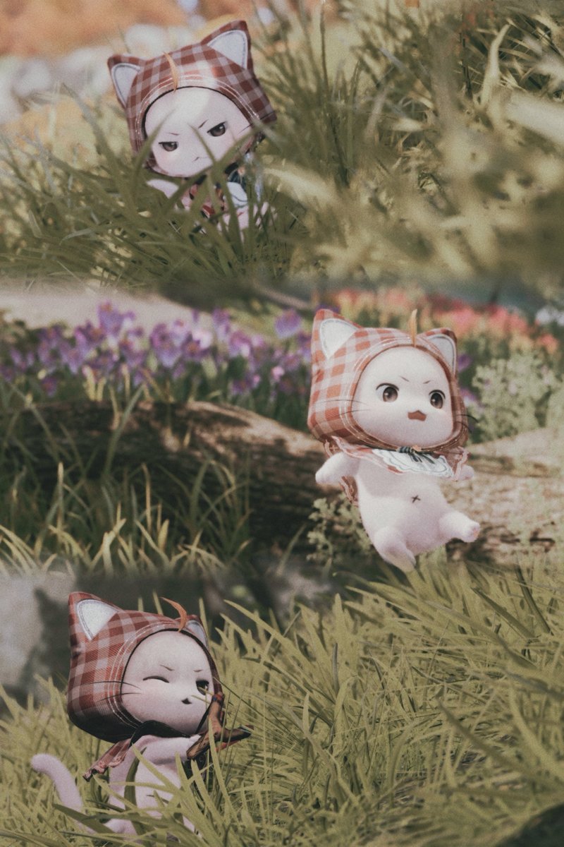 𝘶𝘯𝘪 🦭 tweet media