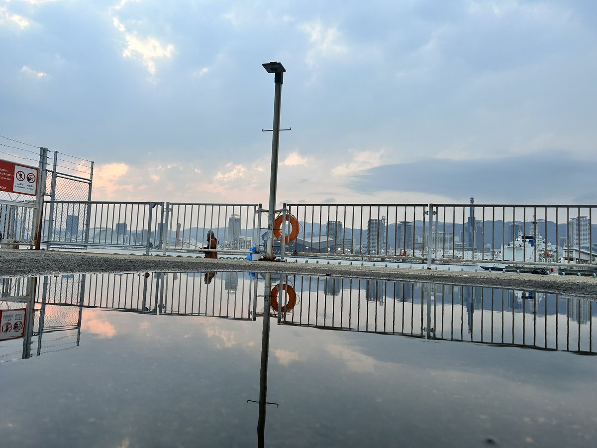 テスプレ tweet media