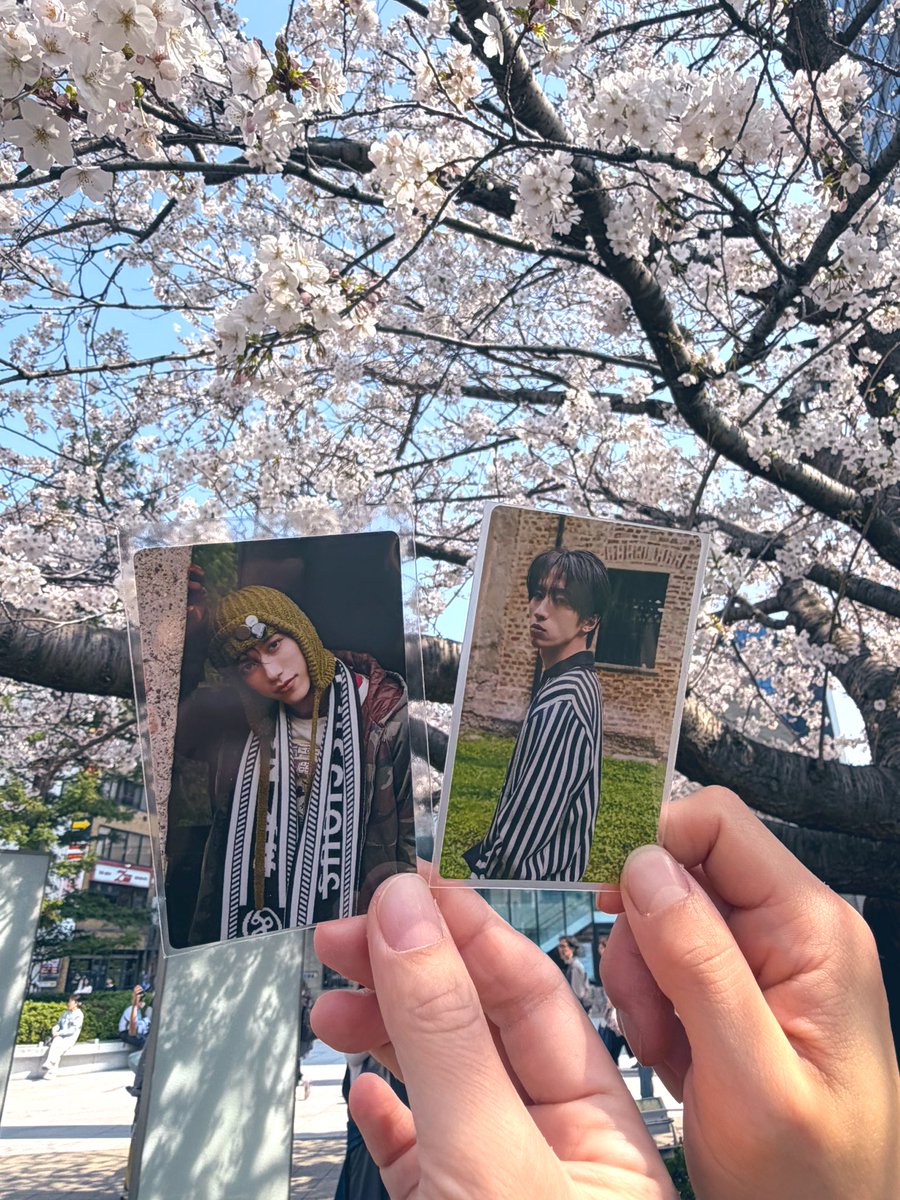 しーま tweet media