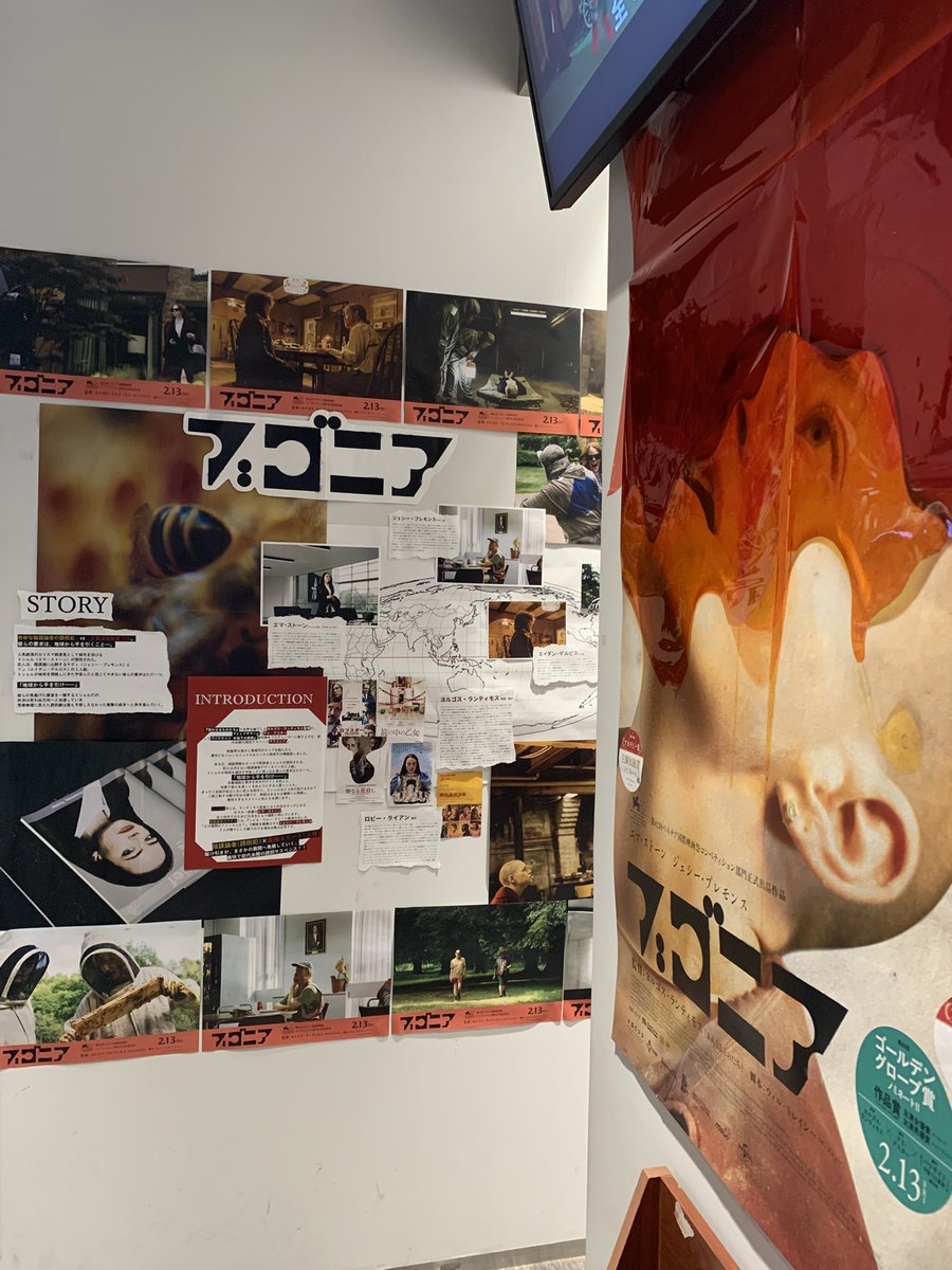 ゼンタイ民☆Y7.16xzxy タイプxxQ改®︎ tweet media