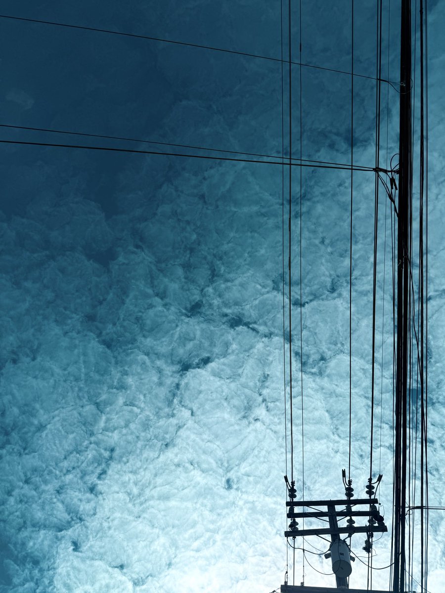 Braindigs.tez tweet media