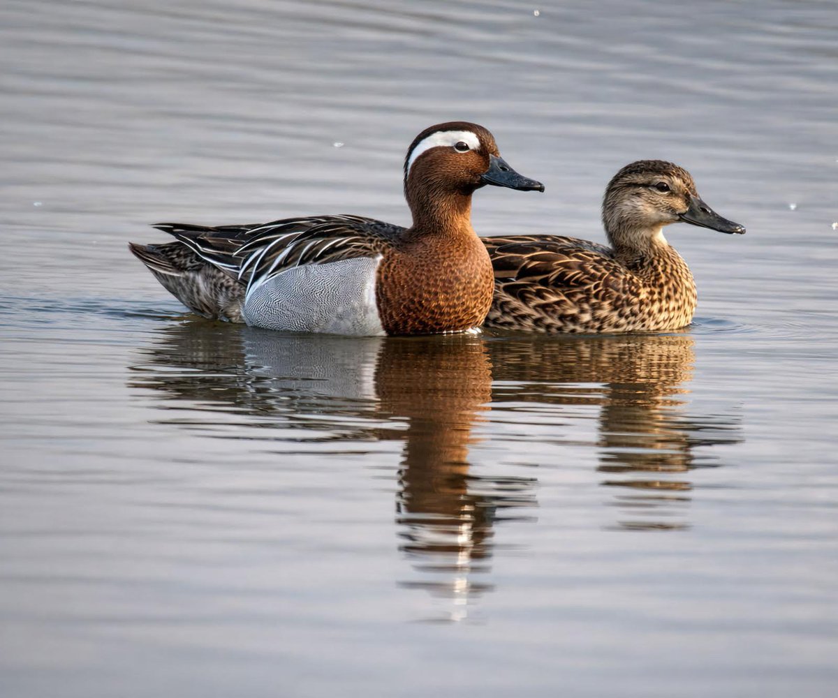 Shiju Sugunan 🇮🇳 tweet media