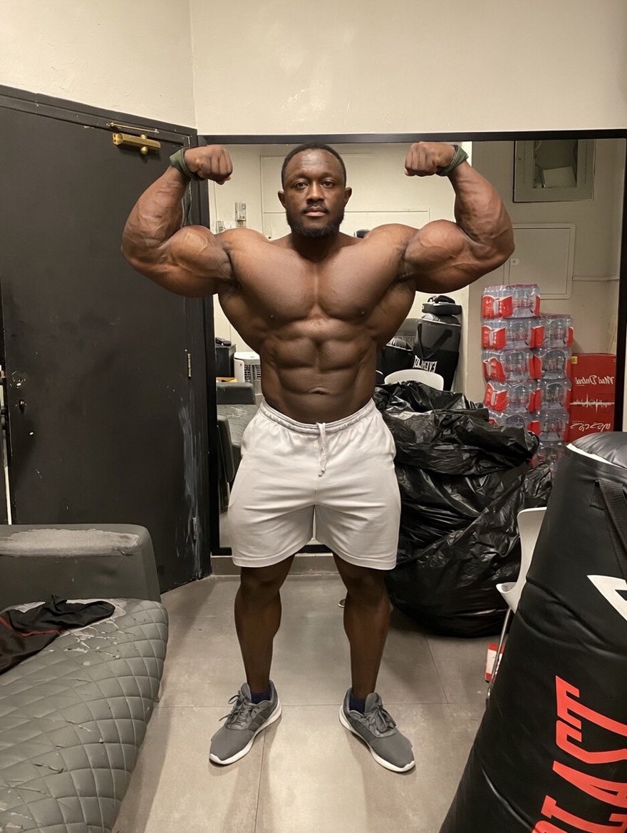 Da Real Godzilla tweet media