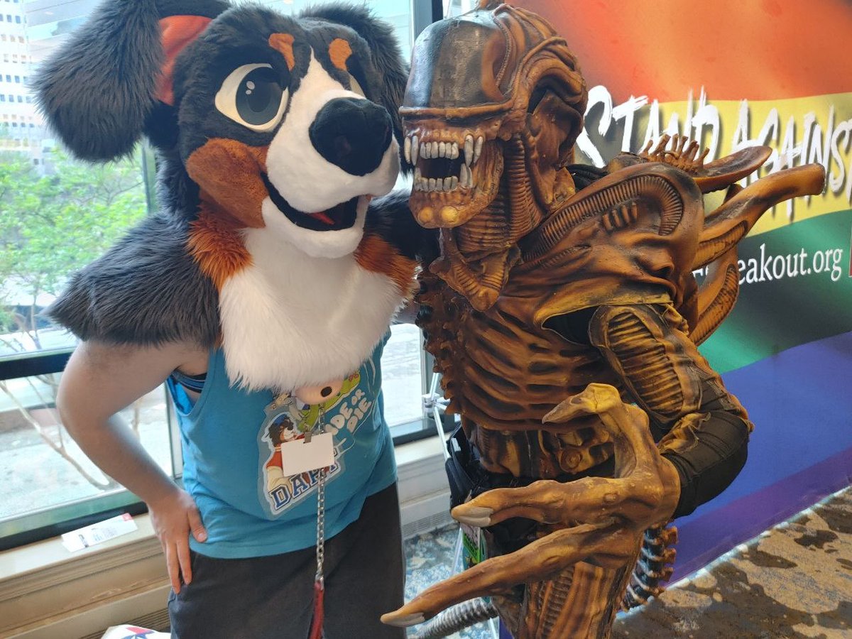 D🏔️RT 🦮 tweet media