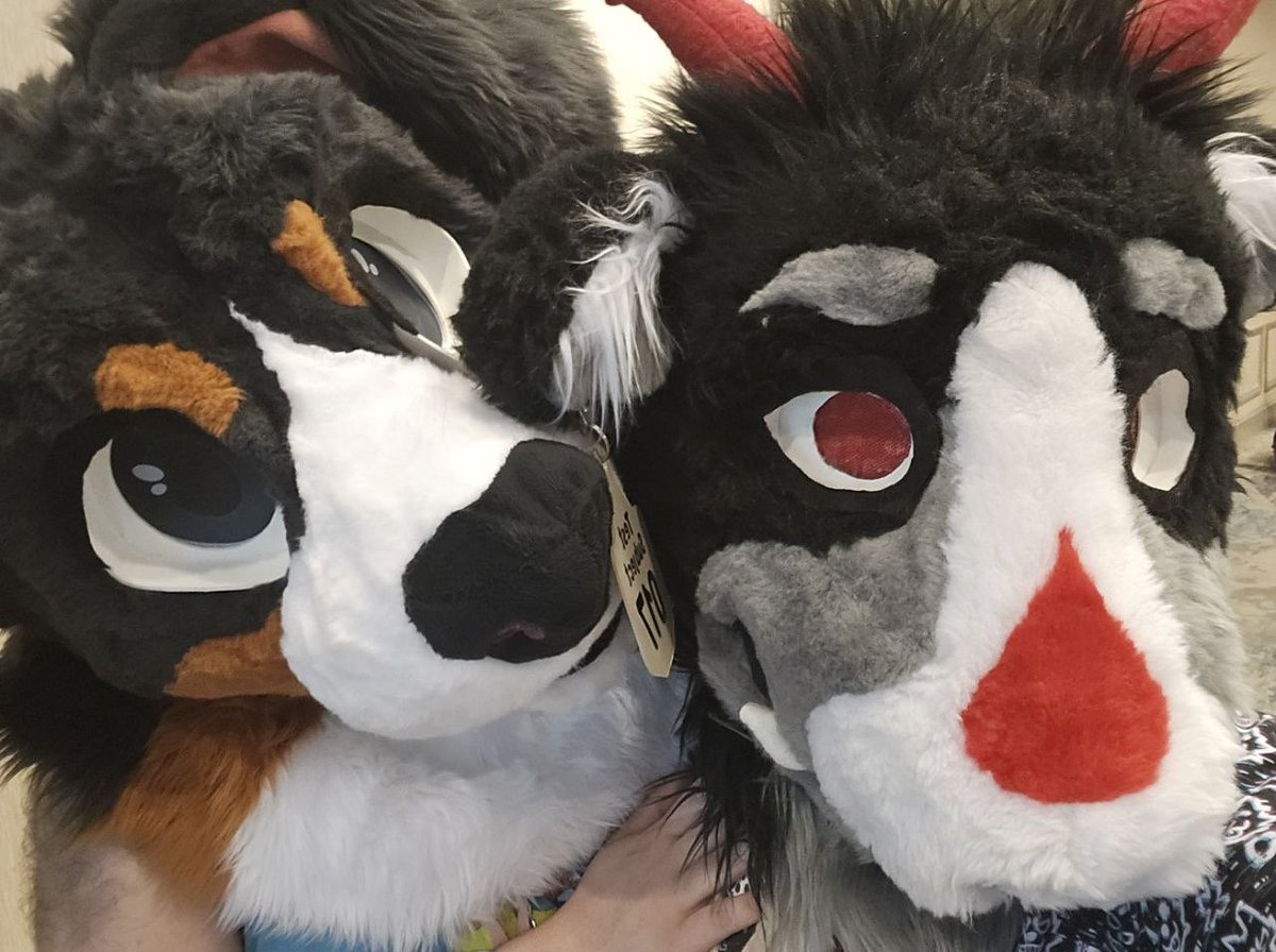 D🏔️RT 🦮 tweet media