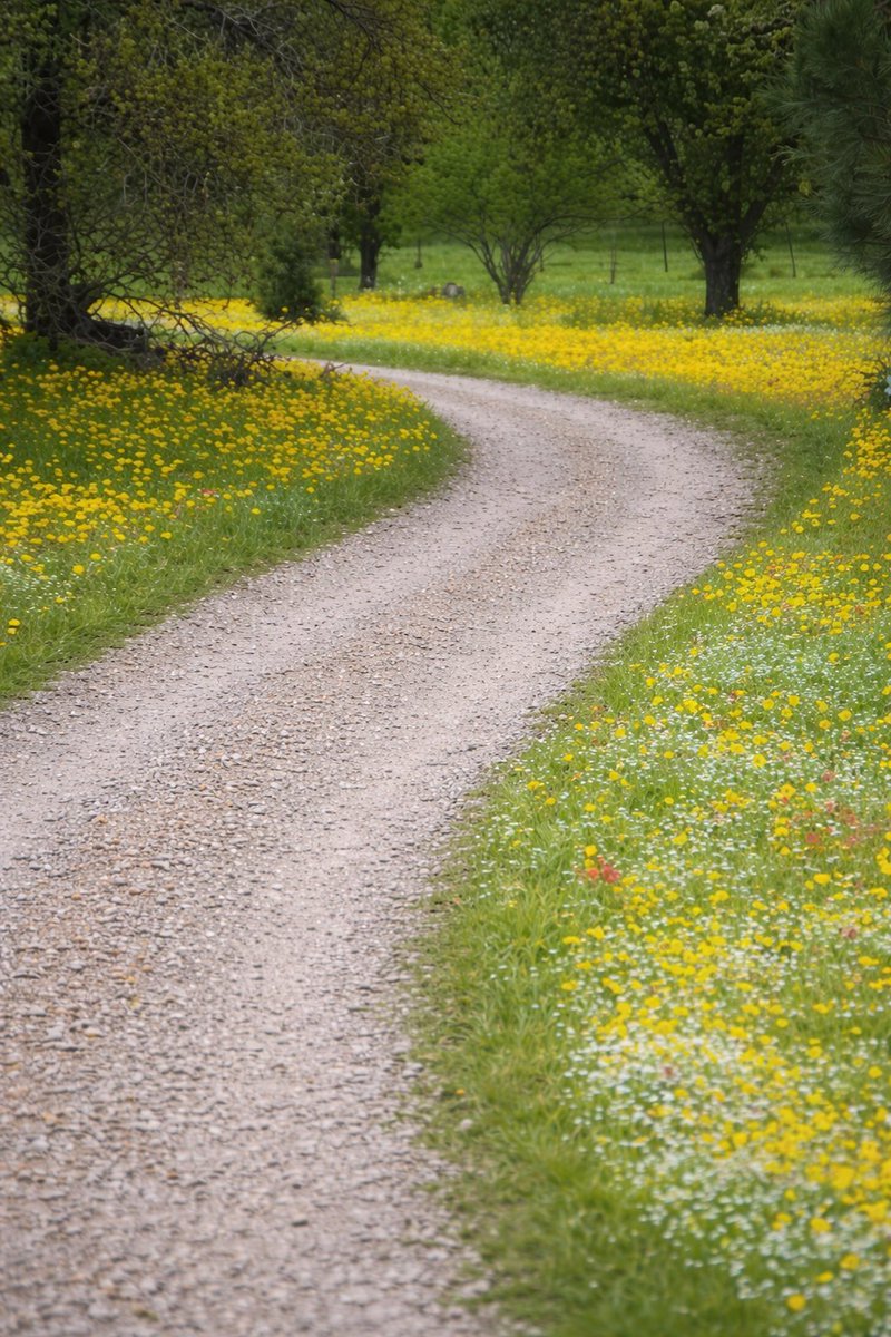 Zeus⚡️ tweet media