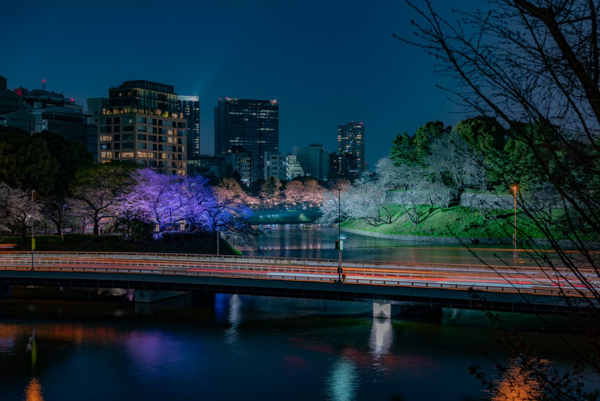 ぺんどり📷️ tweet media