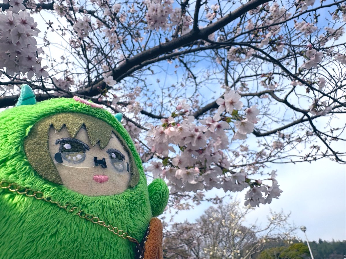 awa🍈プロカ確認 tweet media