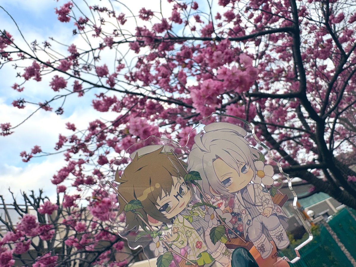 awa🍈プロカ確認 tweet media