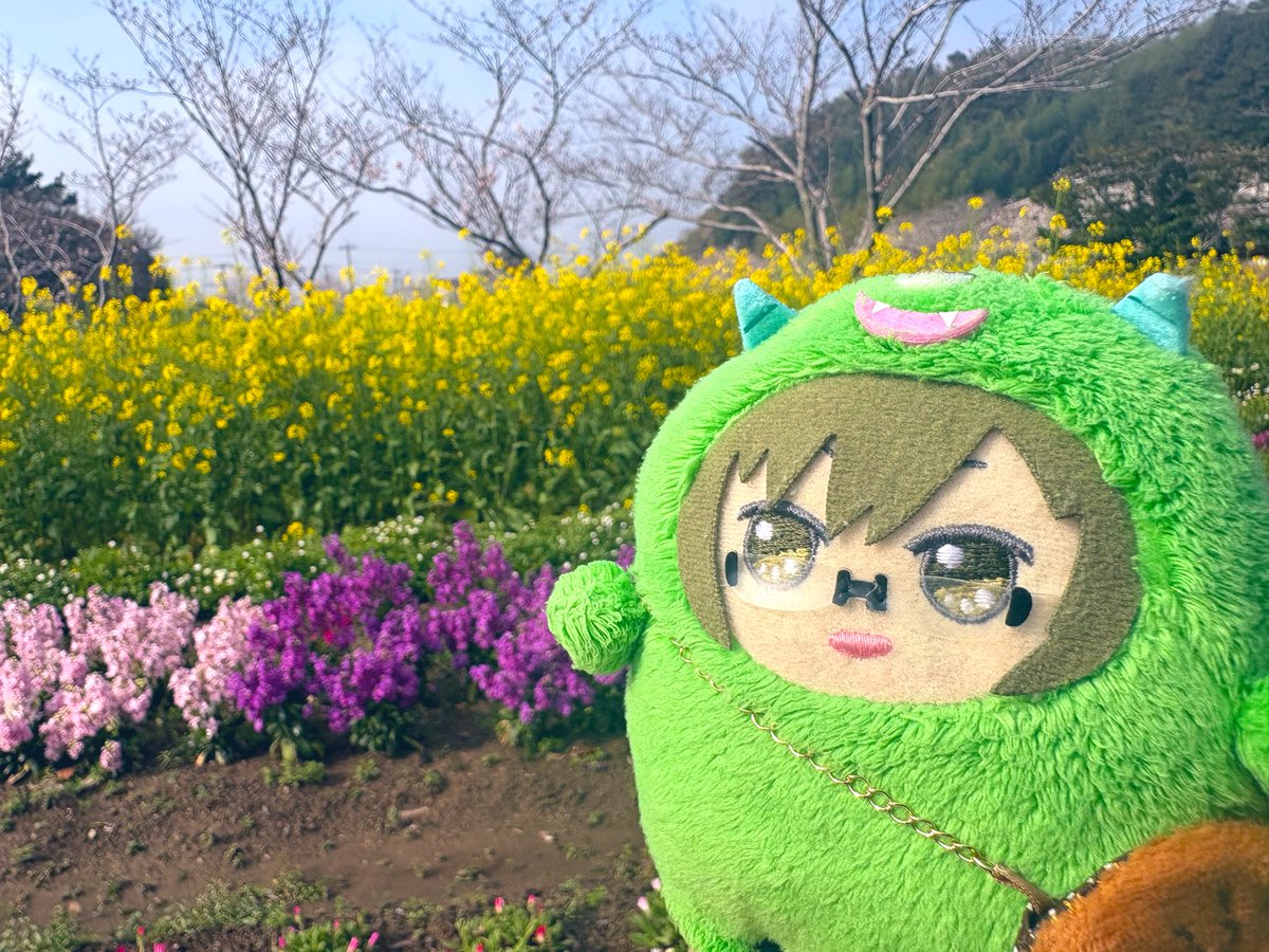 awa🍈プロカ確認 tweet media