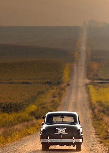 ✦✯✦

Bir şehirden mi, 
  Birinden mi, yoksa 
    Hayatın bir döneminden mi?
       Hangi ayrılık daha zor?

           Mutlu Akşamlar
                                              ✦✯✦