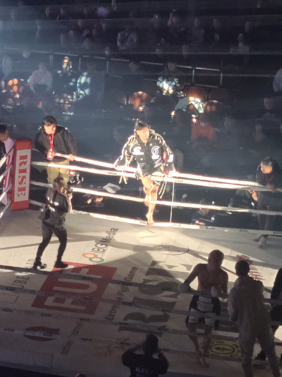 サーバル tweet media