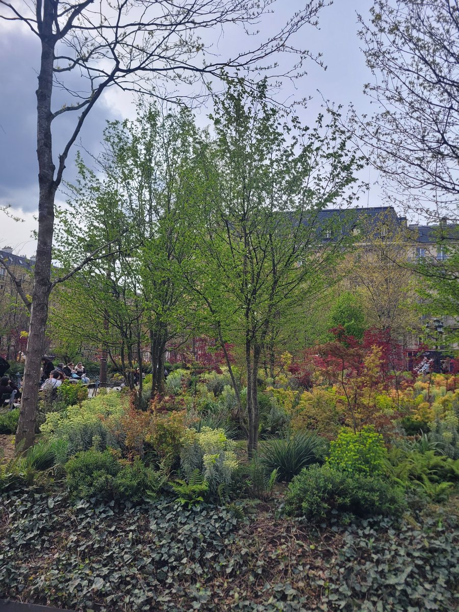 Florent Giry tweet media