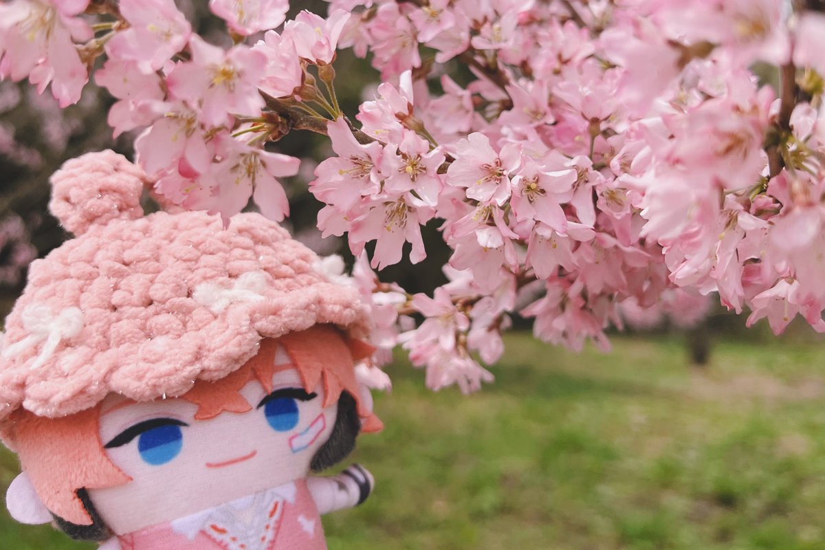 🍬ｱﾒﾐﾔ🍬 tweet media