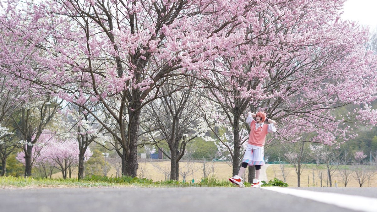 🍬ｱﾒﾐﾔ🍬 tweet media