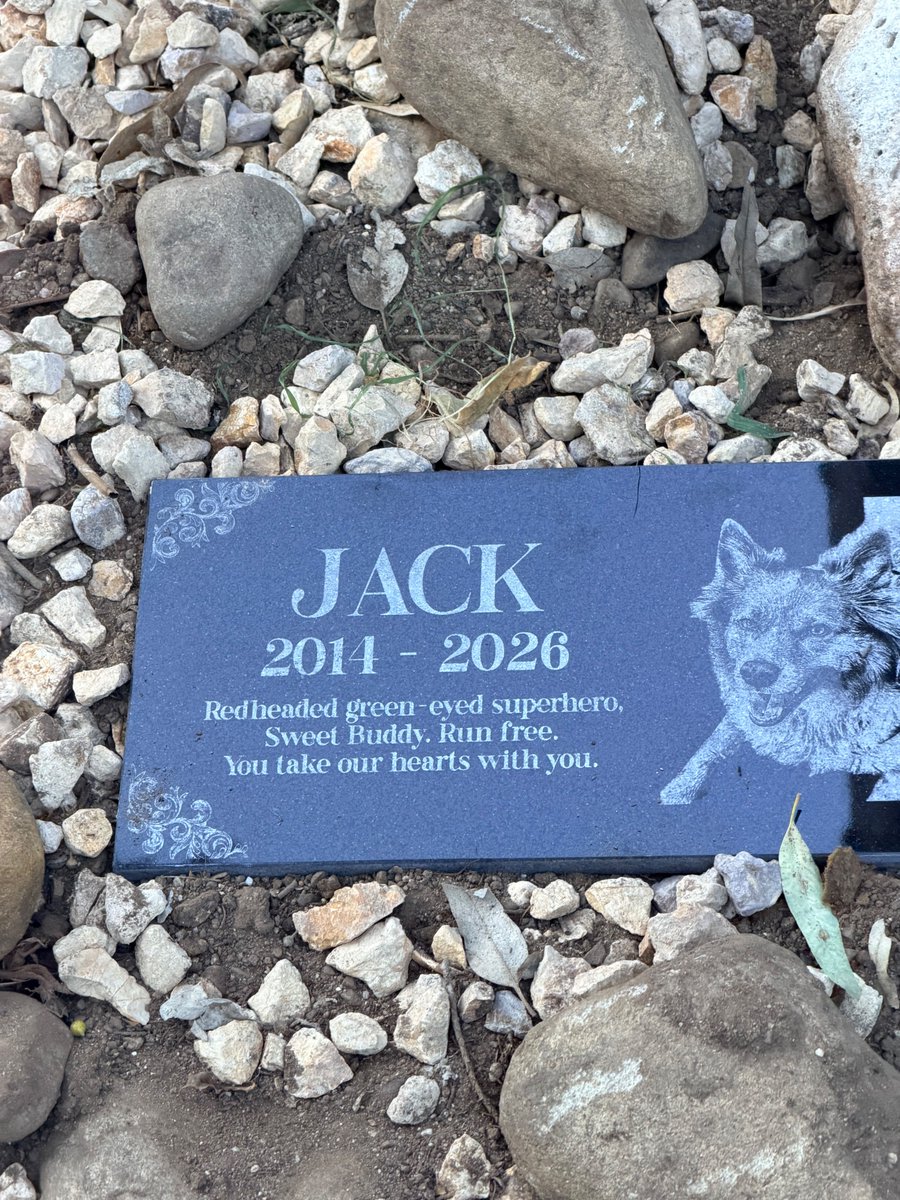 Sasha Stone tweet media