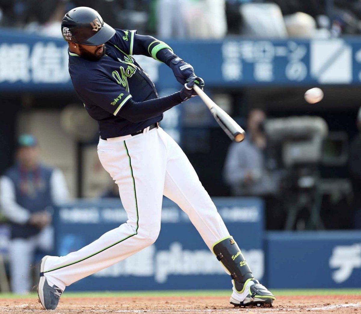 Tokyo Yakult Swallows EN tweet media
