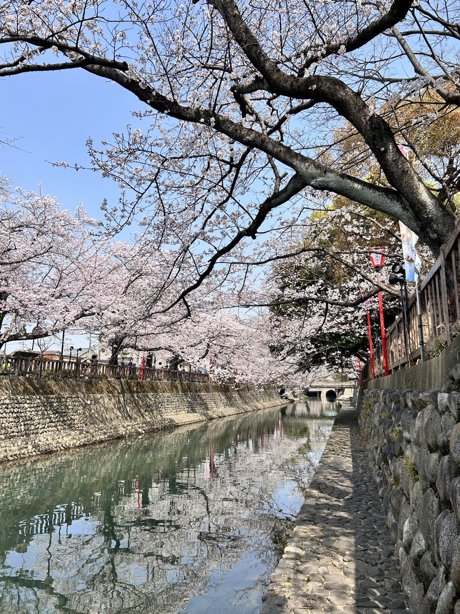 かみしたともや tweet media