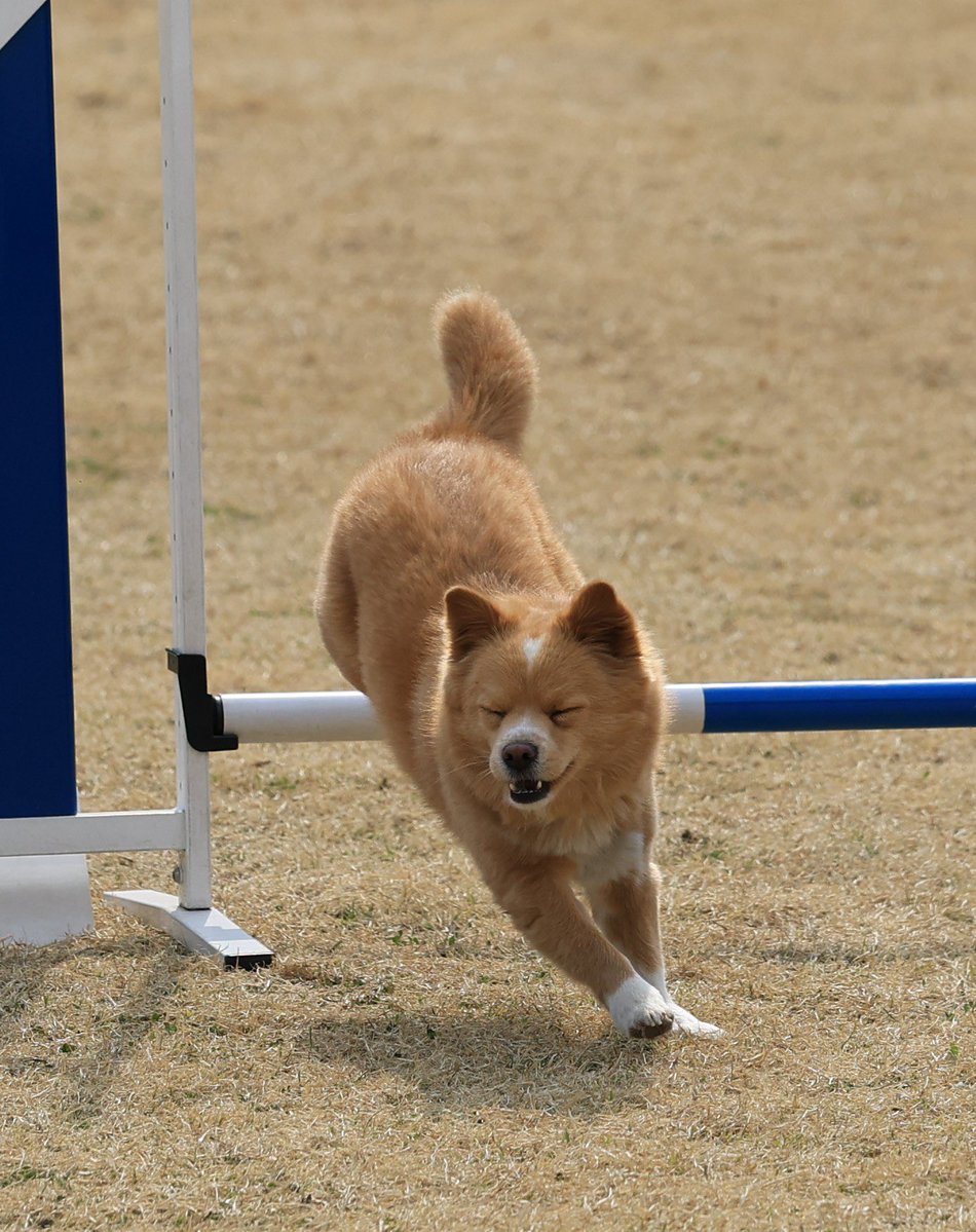 김딱밤 아카이브 tweet media