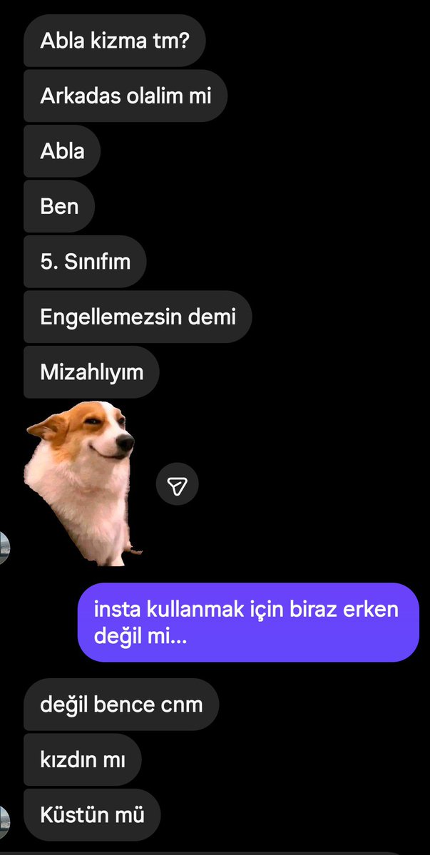 💤 zehrasucan tweet media