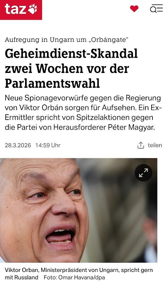 DJ P.R. 🙄 tweet media