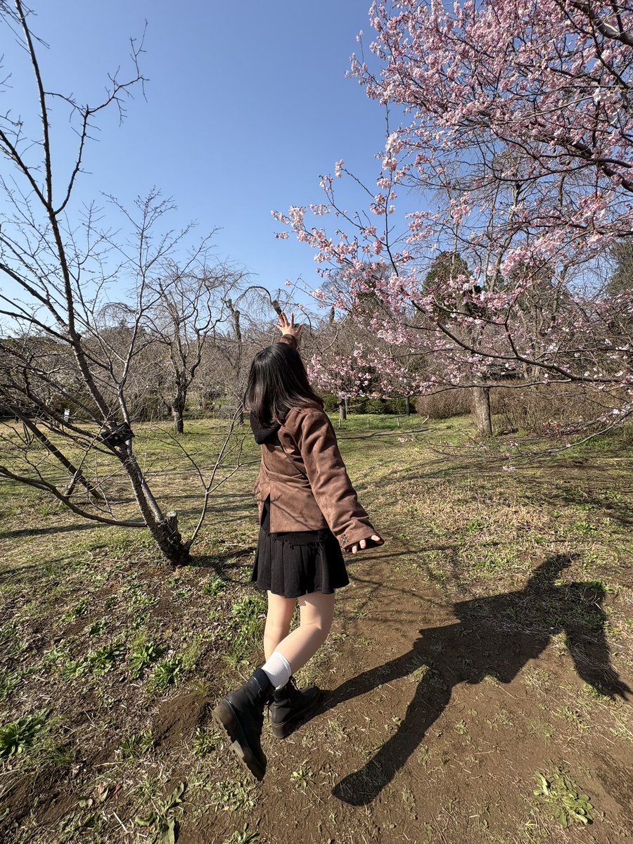 Yoshitomi_chio's tweet photo. やっほ~！

最近、TikTokやInstagramで皆んなと会える機会増えて嬉しい☺️

そして私はいろんなところに行ったり、いろんなことをしたり、日々充実しておりますっ✨✨

そして、桜が咲き始めたね~！
始めたと言うか、もー満開？
まだまだ見ておきたい👀🌸 https://t.co/5UajkbkQqn
