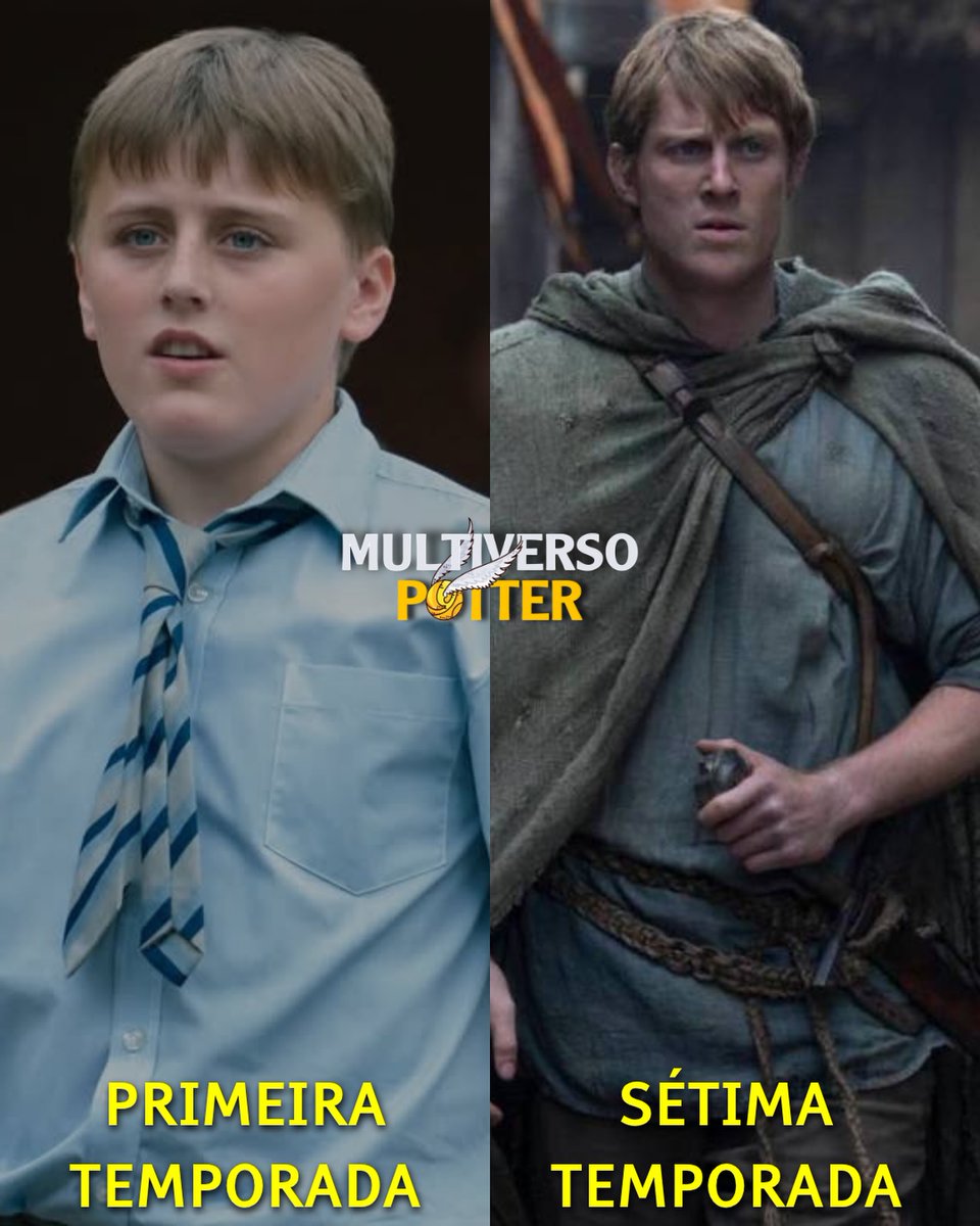 Multiverso Potter tweet media