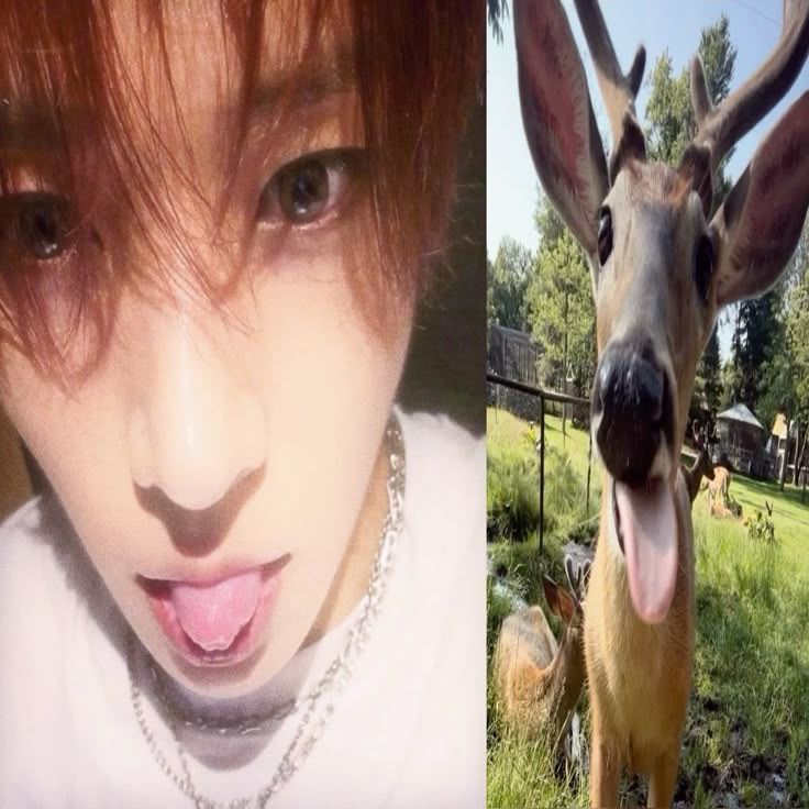 cee | ENHYPEN IS SEVEN tweet media