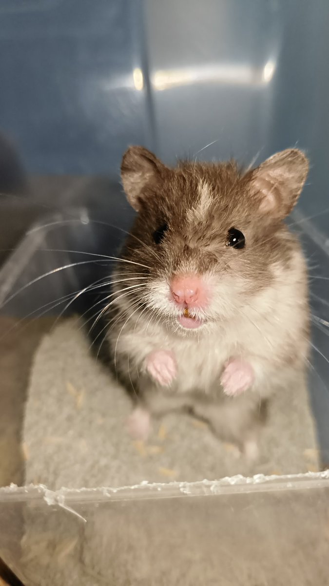 wiuuu🍀 tweet media