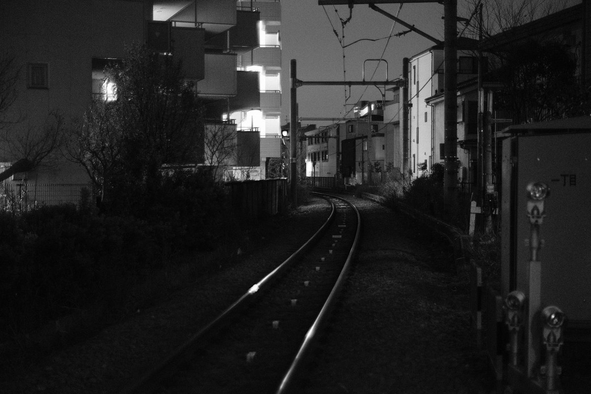 よおきい tweet media