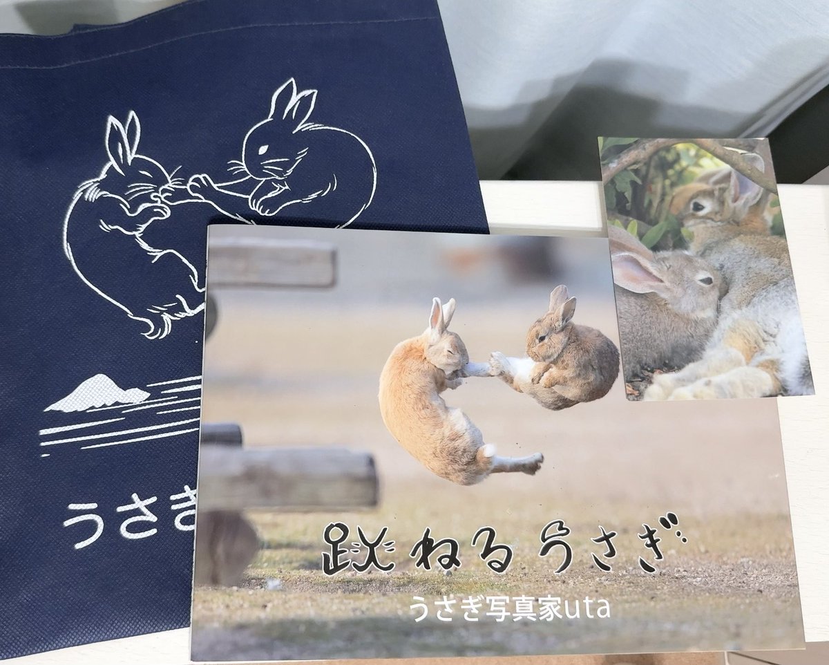 しらとあきこ tweet media