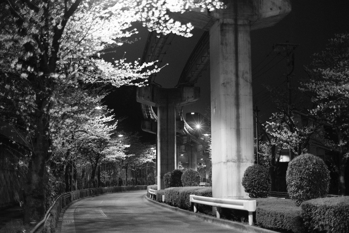 よおきい tweet media