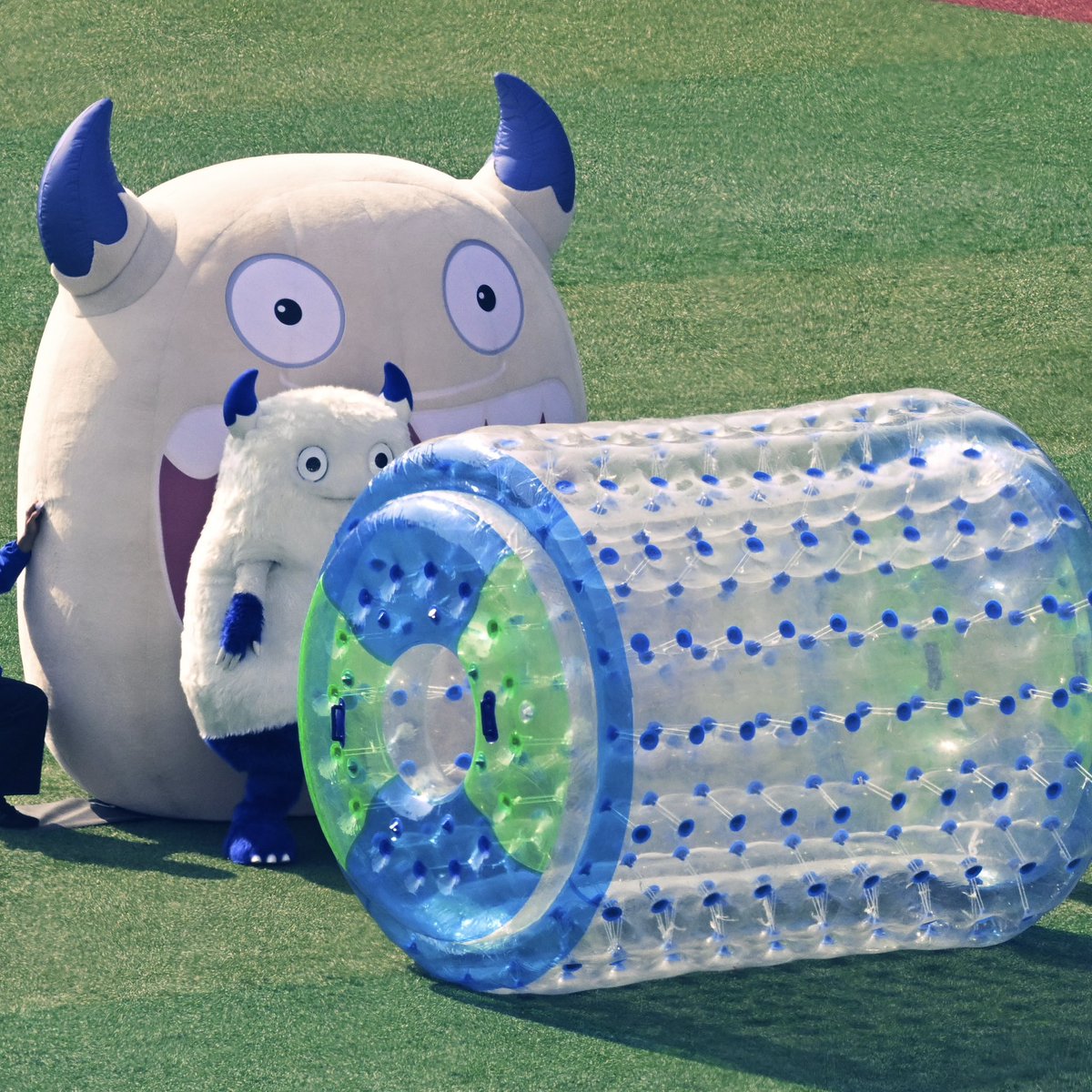 pirapiranchi(ランチ) tweet media