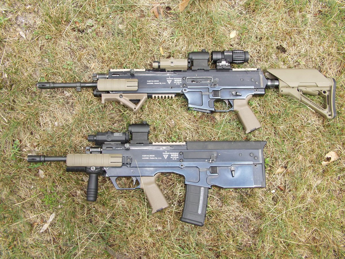 Auri 🦎 tweet media