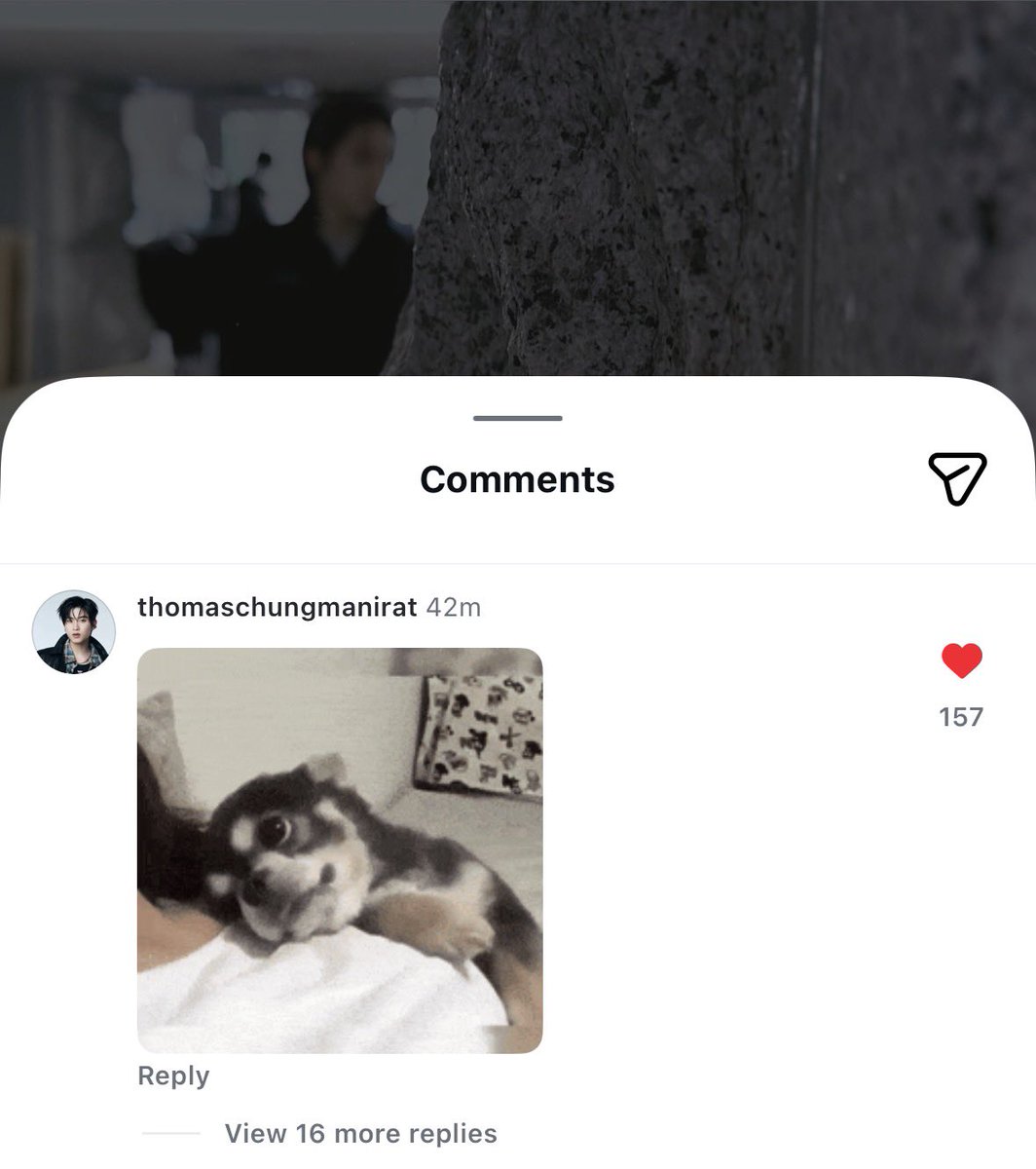 𐑺 beechan/🐽 tweet media