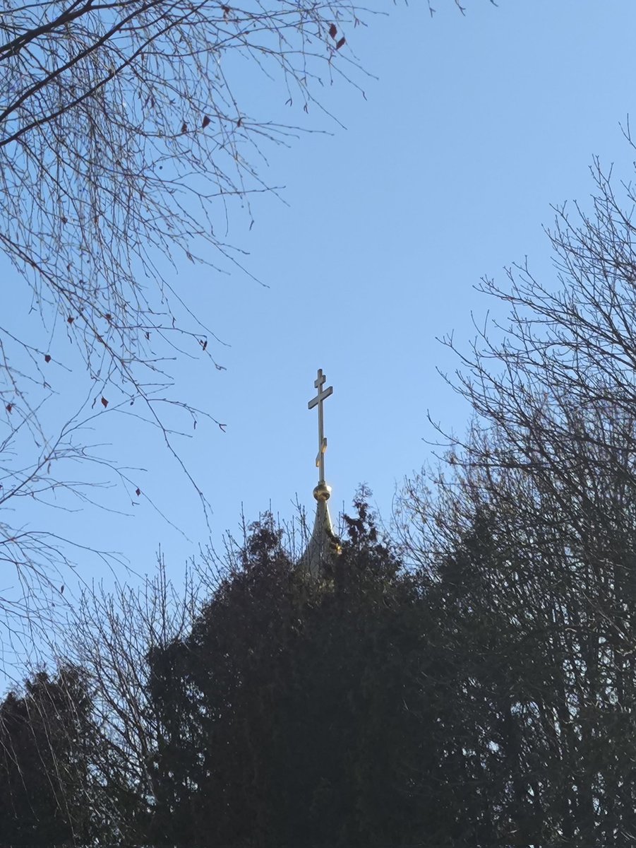 Елена Р. tweet media