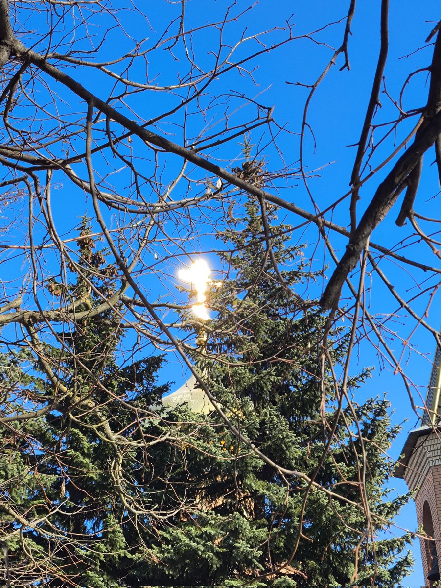 Елена Р. tweet media