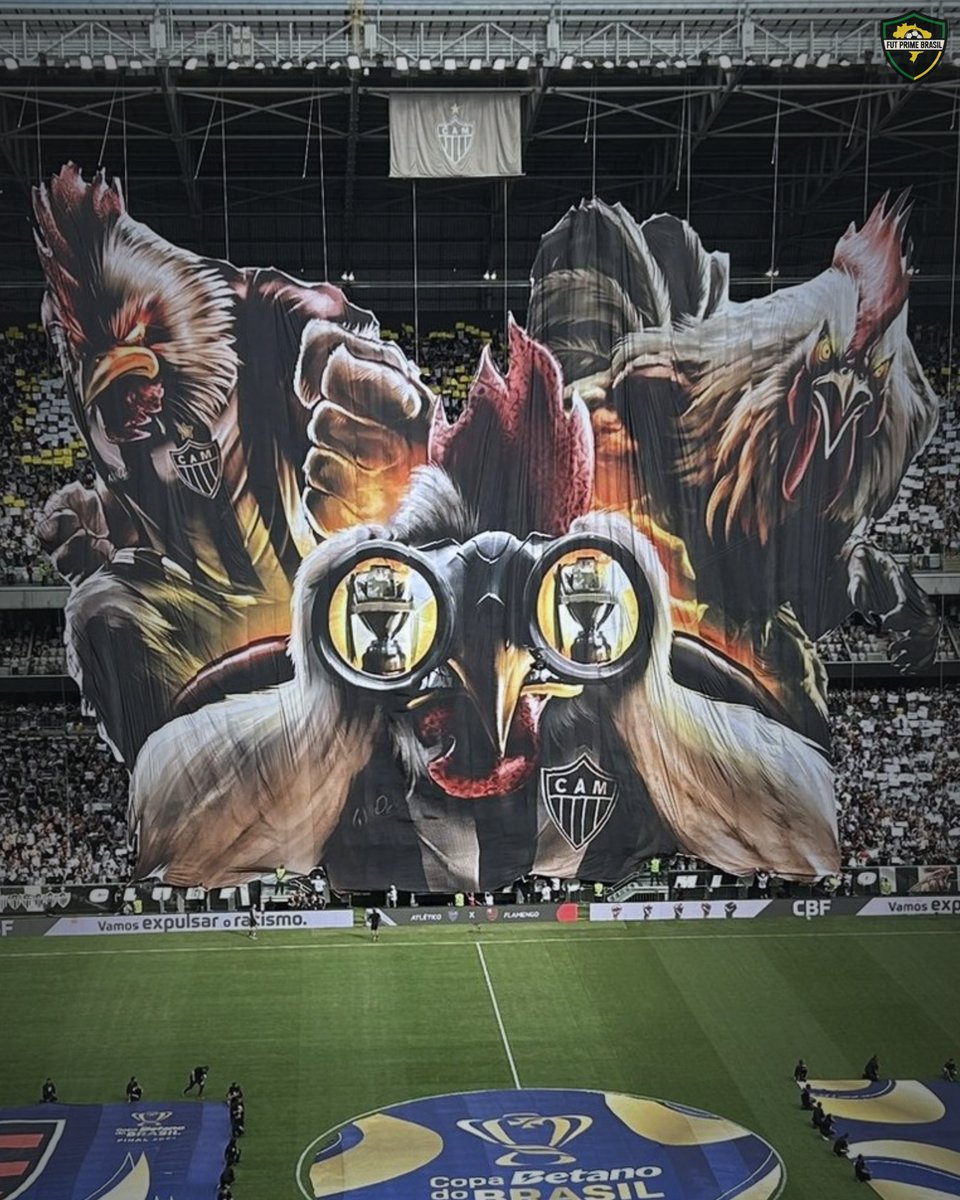 Fut Prime tweet media