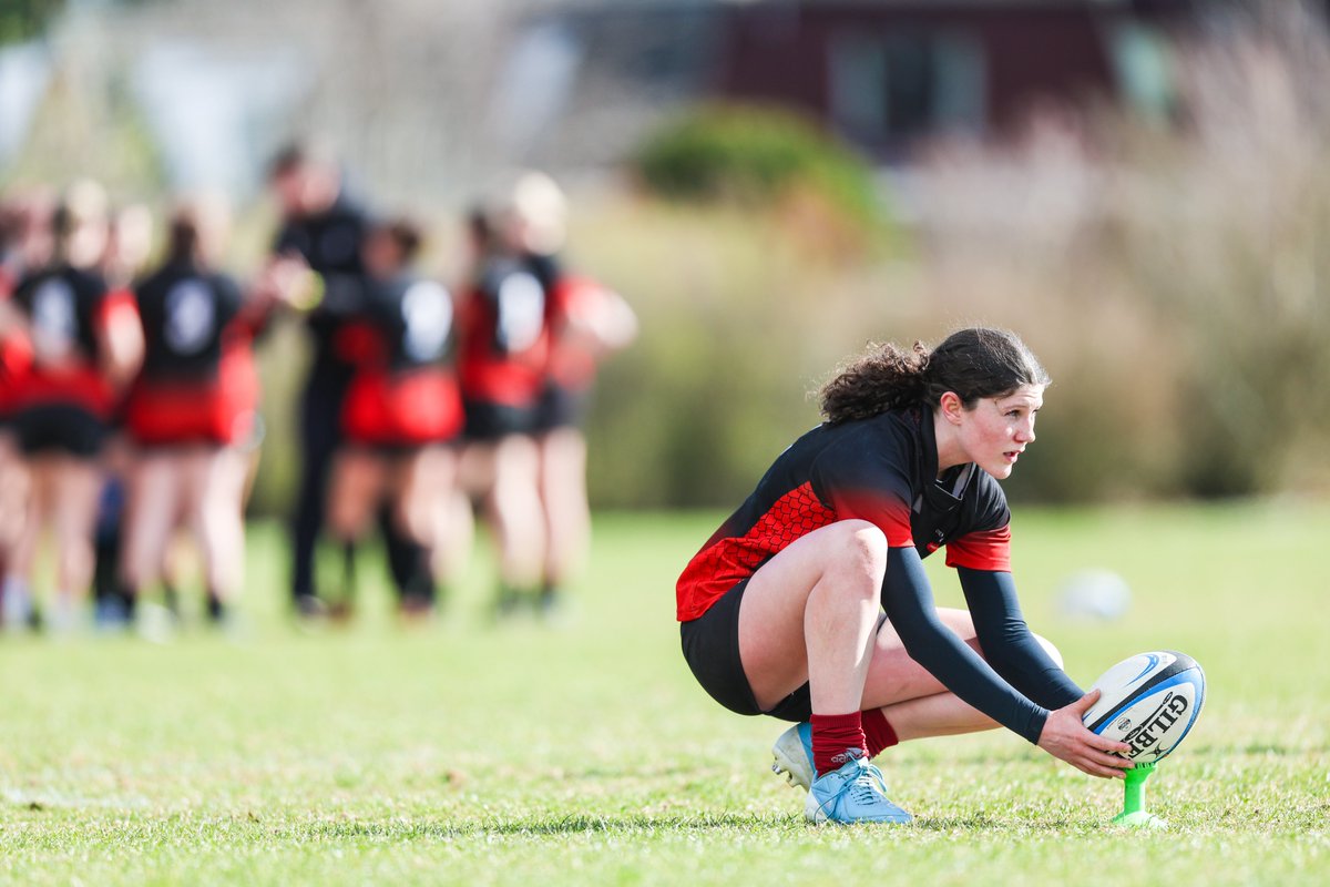 Scottish Rugby Game Development tweet media