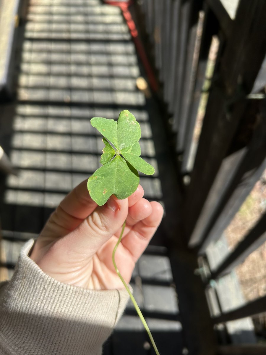 Marina 🍀✨🫶 tweet media