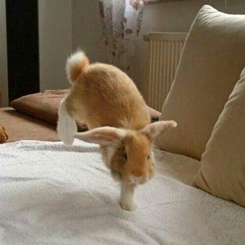 Liam (C0mms FULL!!) || #goingjohnmode tweet media