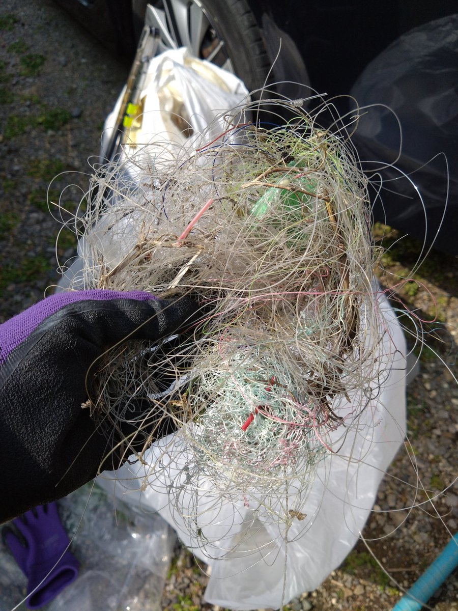 じゅりお ⭐️ tweet media