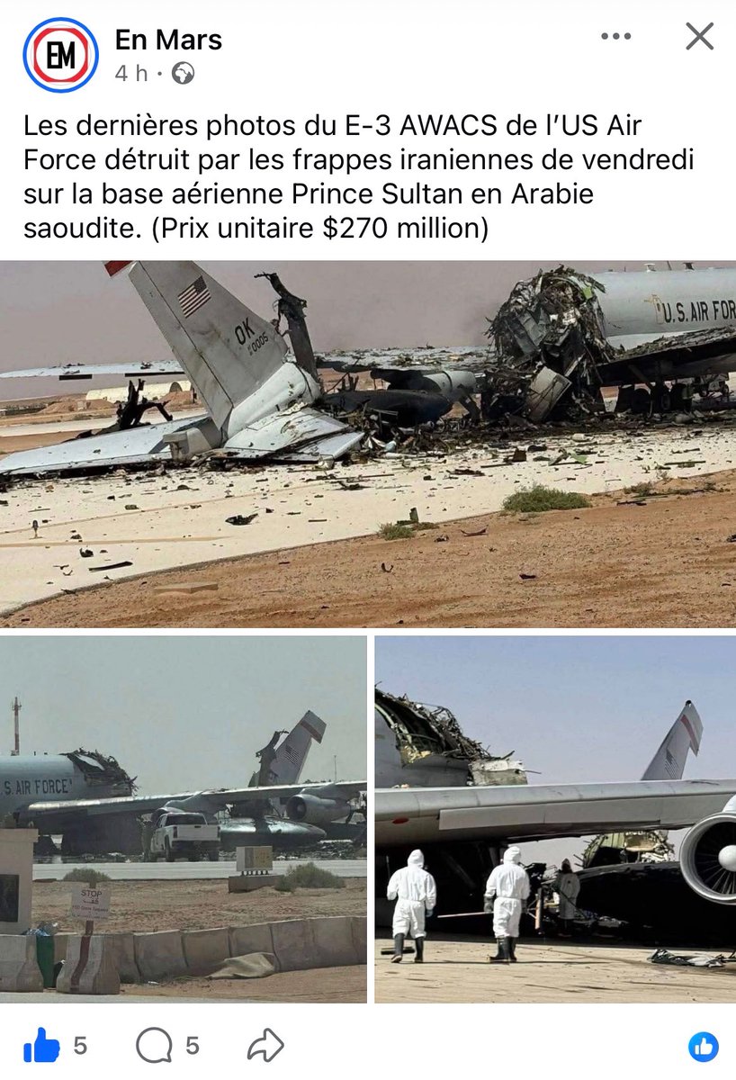 Salamandre tweet media