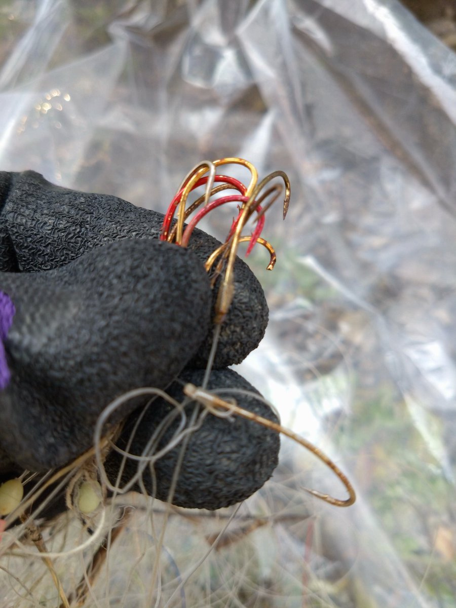 じゅりお ⭐️ tweet media