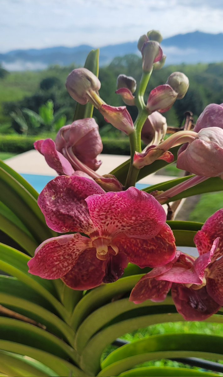 FAR〽️ER tweet media