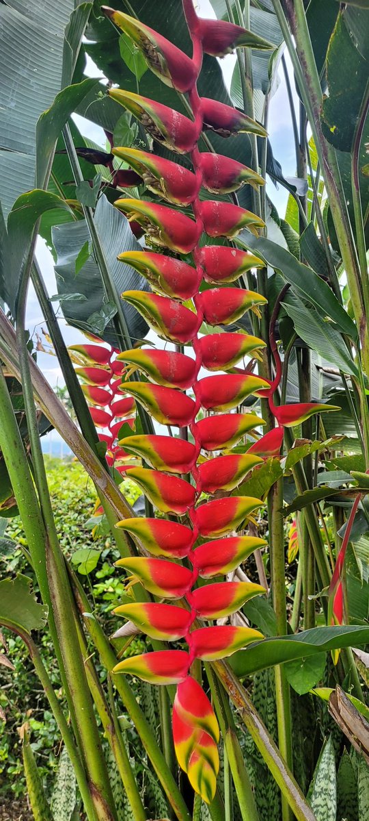 FAR〽️ER tweet media