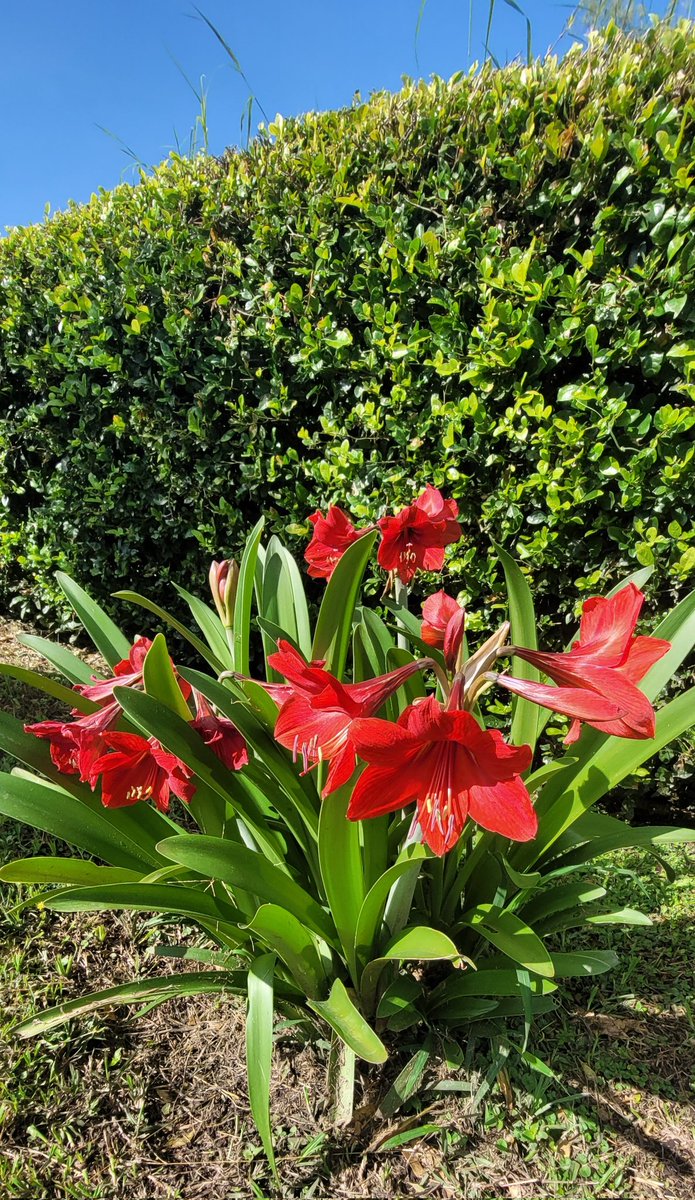 FAR〽️ER tweet media