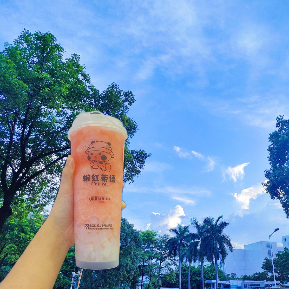 carolina jimenez tweet media