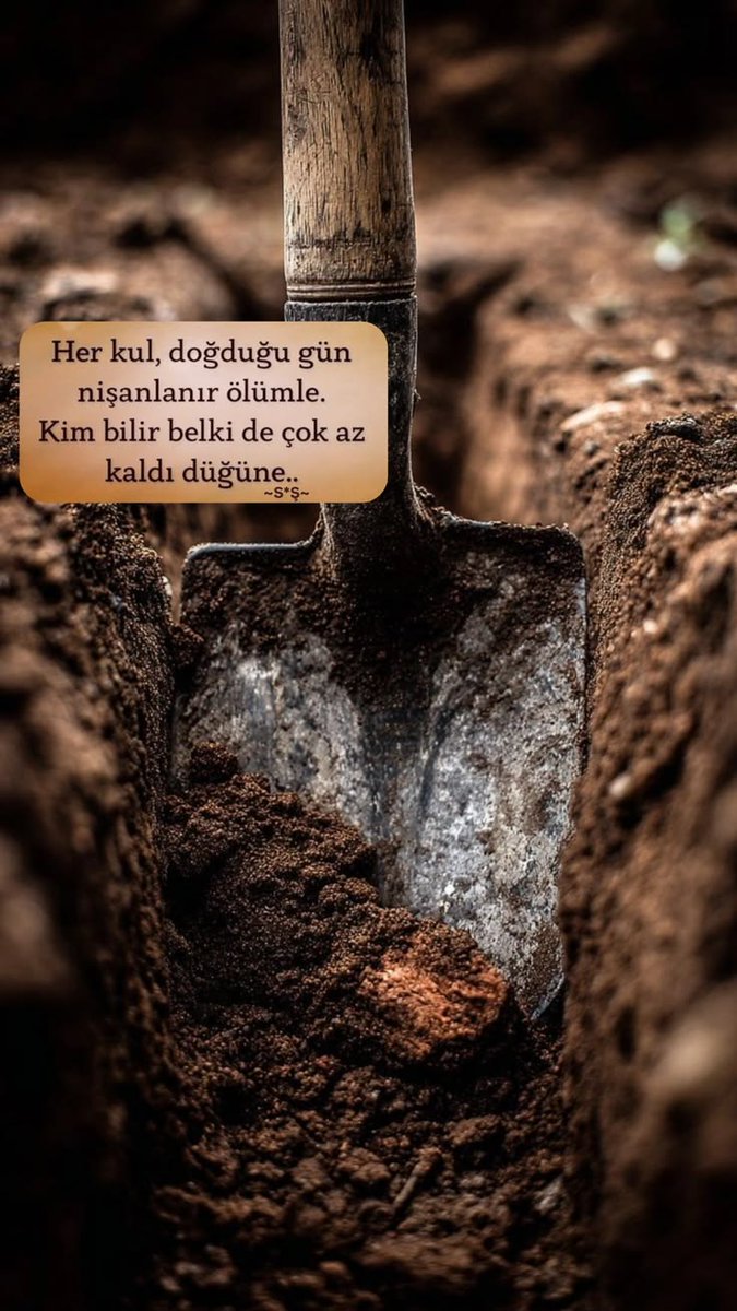 𝓜𝓬𝓲𝓶𝓪 ❤️ 🇹🇷🇦🇿 tweet media